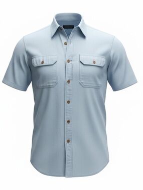 Carhartt Men's Blue Loose Fit Midweight Short Sleeve Chambray Shirt Size L Tall